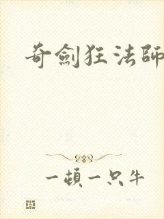 奇剑狂法师封面