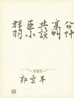 群臣共享公主银羽小说叫什么