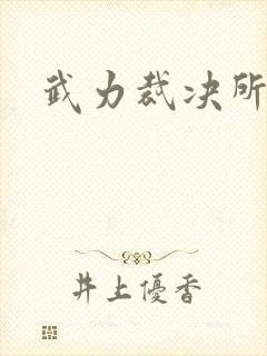 武力裁决所封面