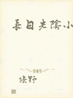 长日光阴小说