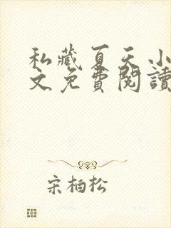 私藏夏天小说全文免费阅读笔趣阁