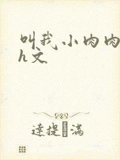 叫我小肉肉的高h文封面