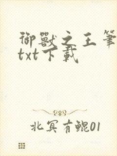 御兽之王笔趣阁txt下载