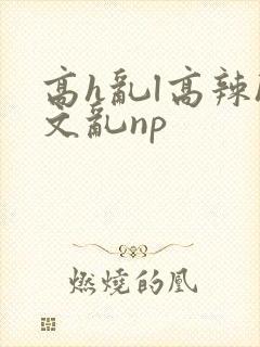 高h乱l高辣h文乱np