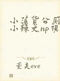 小荡货公厕h文小辣文np视频