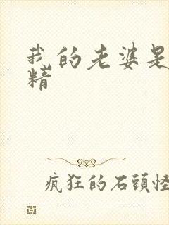 我的老婆是狐狸精封面