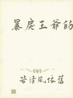 暴戾王爷的贱妾封面