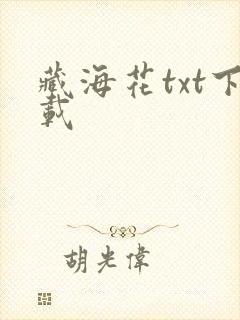 藏海花txt下载