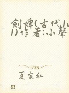 剑婢(古代1v1)作者:小声点封面