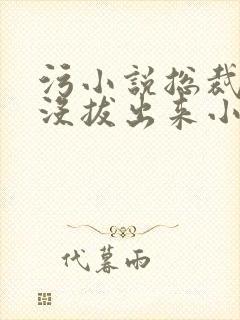 污小说总裁整夜没拔出来小说在线阅读