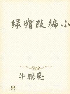 绿帽改编小说封面