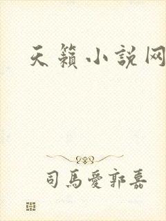 天籁小说网