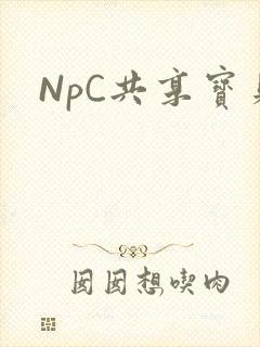 NpC共享宝贝
