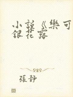 小说《乐可》金银花露封面