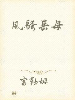 风骚岳母封面