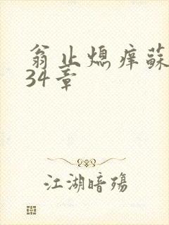 翁止熄痒苏钥第34章