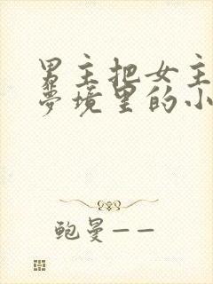 男主把女主拖进梦境里的小说封面