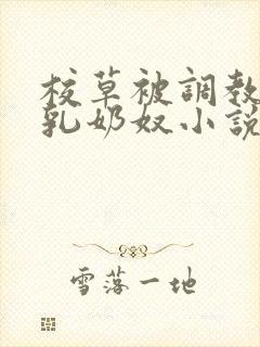 校草被调教成大乳奶奴小说