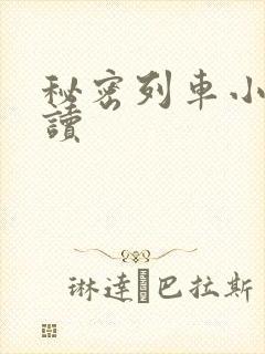 秘密列车小说阅读