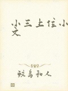 小三上位小说全文封面