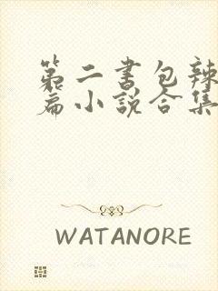 第二书包辣网短篇小说合集