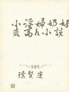 小淫妇奶好大好爽高h小说