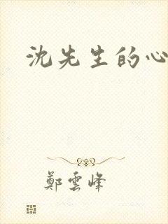 沈先生的心头宝