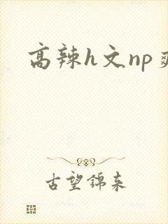高辣h文np爽