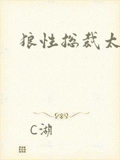 狼性总裁太凶猛