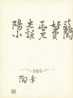 阳光正好苏玥玥小说免费阅读