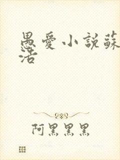 愚爱小说苏倩孙浩