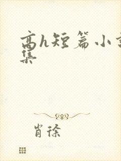 高h短篇小说合集封面