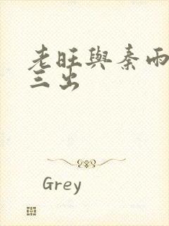 老旺与秦雨三进三出