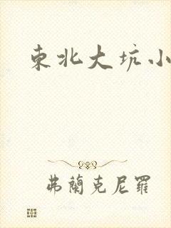 东北大坑小说封面