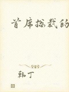 首席总裁的逃妻