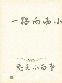 一路向西小说