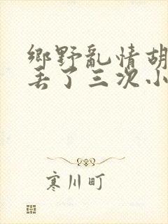 乡野乱情胡秀英丢了三次小说封面