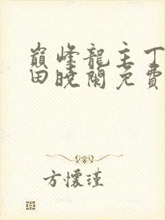 巅峰龙主丁长顺田晓兰免费阅读