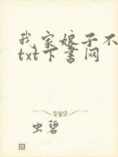 我家娘子不对劲txt下书网封面