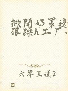 掀开奶罩边躁狠狠躁h工厂小说