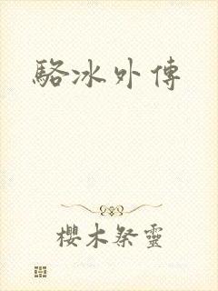 骆冰外传封面