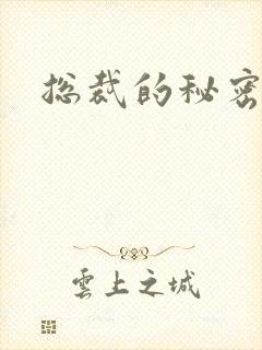 总裁的秘密情人