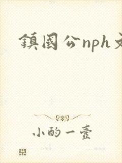 镇国公nph文