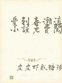 爱到春潮滚滚来小说免费阅读