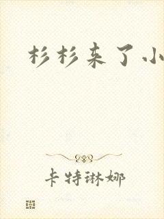 杉杉来了小说封面