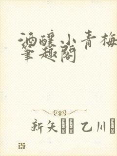 酒酿小青梅po笔趣阁