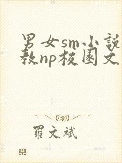 男女sm小说调教np校园文封面