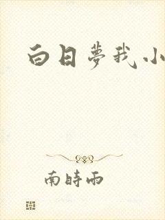 白日梦我小说