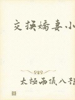 交换娇妻小说