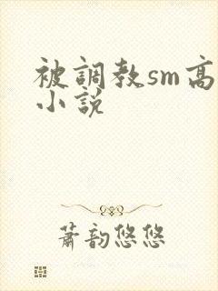 被调教sm高h小说